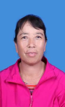 袁金丽