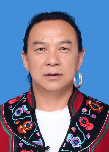 鲁宸华