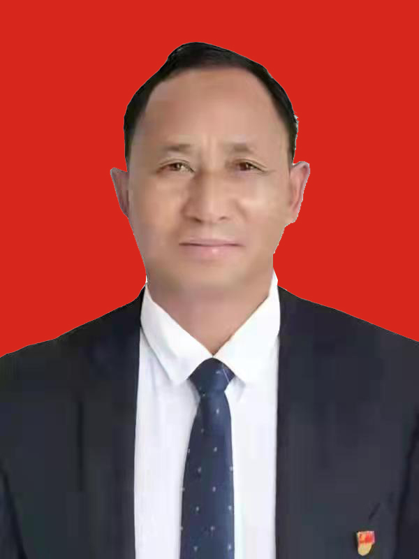 王四新