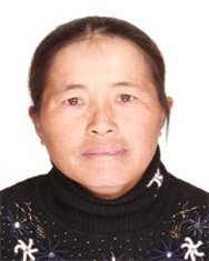 陶美元