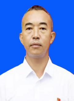 凤翌