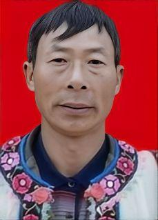 赖平
