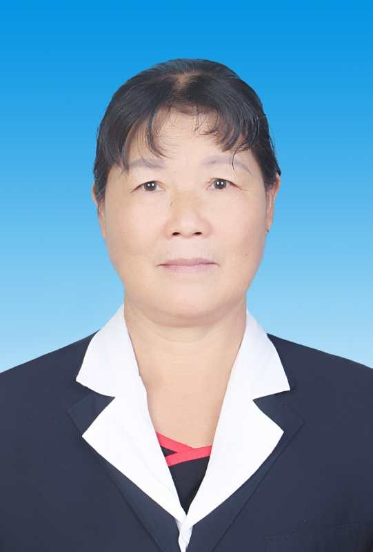 杨家赛