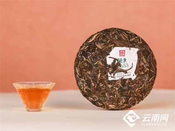 守正创新传非遗 云茶出海绽芳华